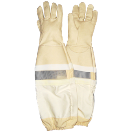 GANTS LATEX - Thomas Apiculture